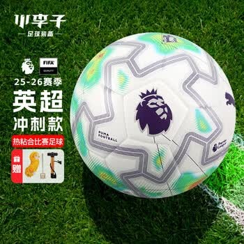 阿森纳凭借1分优势夺得英超25 26赛季冠军